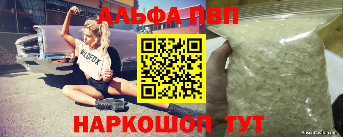 Alfa_PVP СК КРИС Урус-Мартан