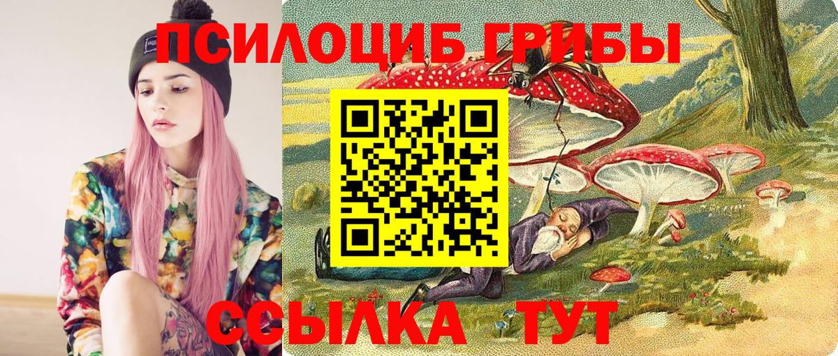 Псилоцибиновые грибы MAGIC MUSHROOMS Урус-Мартан