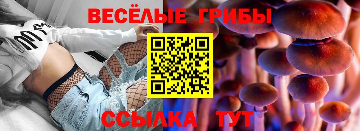 Урус-Мартан  Псилоцибиновые грибы Psilocybine cubensis  Вход с VPN  Псилоцибиновые грибы прущие грибы 